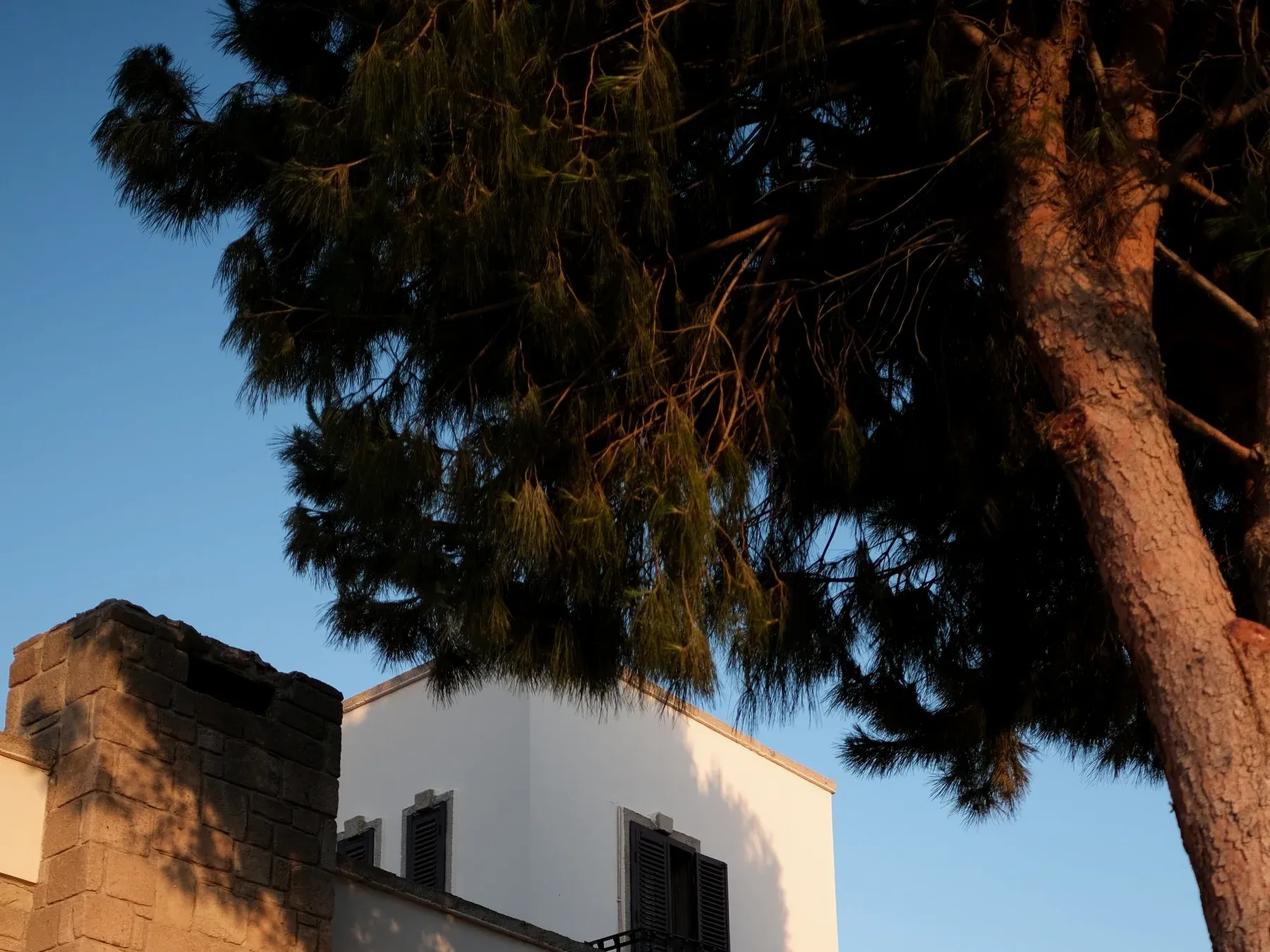 Warm late-afternoon light falling across a white Mediterranean villa with dark shutters beneath mature pine trees.